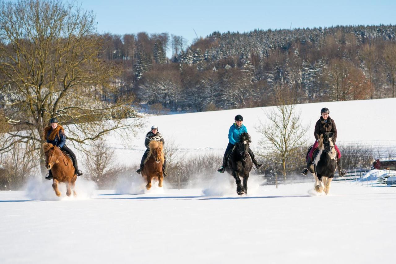 Ferienhof Homann Sauerland Brilon Esterno foto