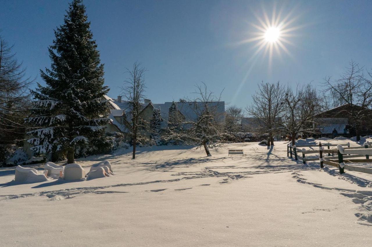 Ferienhof Homann Sauerland Brilon Esterno foto
