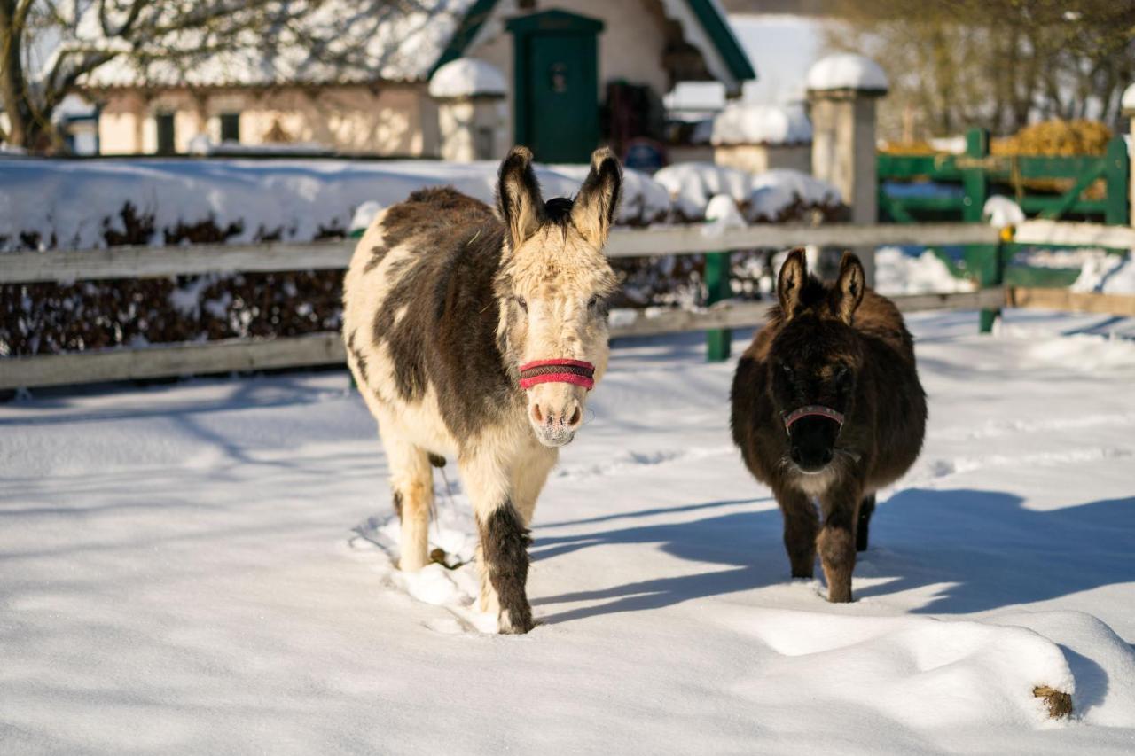 Ferienhof Homann Sauerland Brilon Esterno foto
