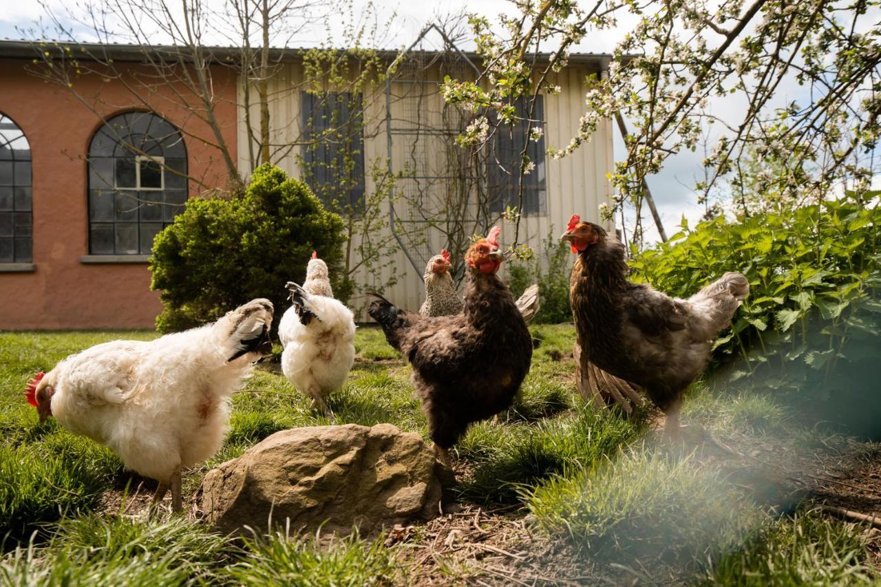 Ferienhof Homann Sauerland Brilon Esterno foto