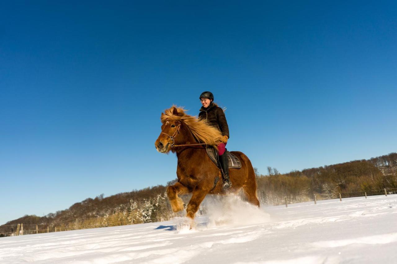 Ferienhof Homann Sauerland Brilon Esterno foto
