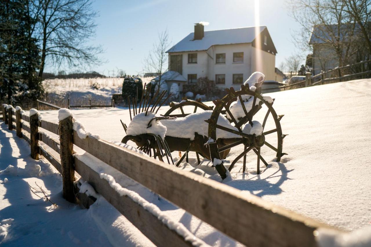 Ferienhof Homann Sauerland Brilon Esterno foto