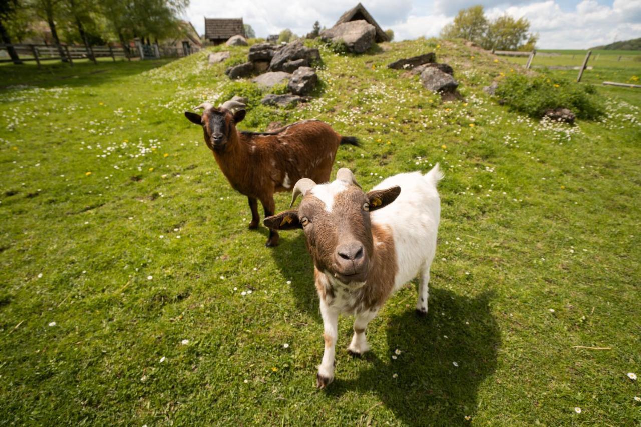 Ferienhof Homann Sauerland Brilon Esterno foto